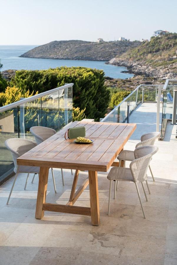 Magnifique Villa Avec Piscine Au Bord De Mer Chorafakia エクステリア 写真