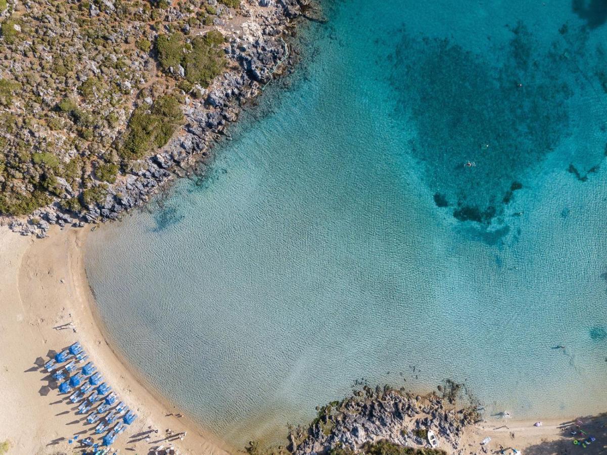 Magnifique Villa Avec Piscine Au Bord De Mer Chorafakia エクステリア 写真